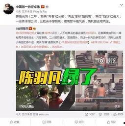 沈猛最新爆料视频播放,事件背后惊人真相