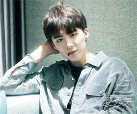 刘宇宁爆料的狗崽视频,真相与争议