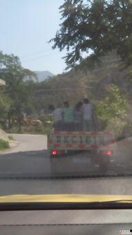 陇南都市爆料事件最新情况,最新进展揭秘，真相逐渐浮出水面